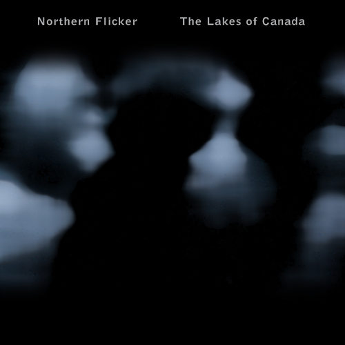 Northern Flicker - The Lakes of Canada