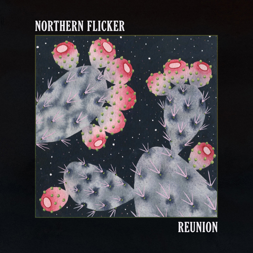 Northern Flicker - Reunion